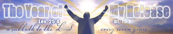 The Year of My Release - Banner
