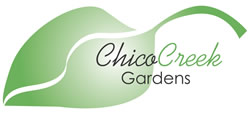 Chico Creek Business Logo Design